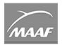logo-maff